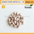 Crop 2014 China LSKB or Sugar Beans